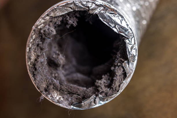 Best Home Air Vent Cleaning  in Canadian Lakes, MI