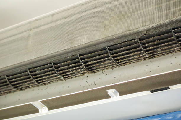 Best Air Duct Cleaning Company Near Me  in Canadian Lakes, MI