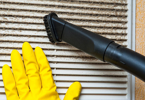 Best Professional Duct Cleaning Services  in Canadian Lakes, MI